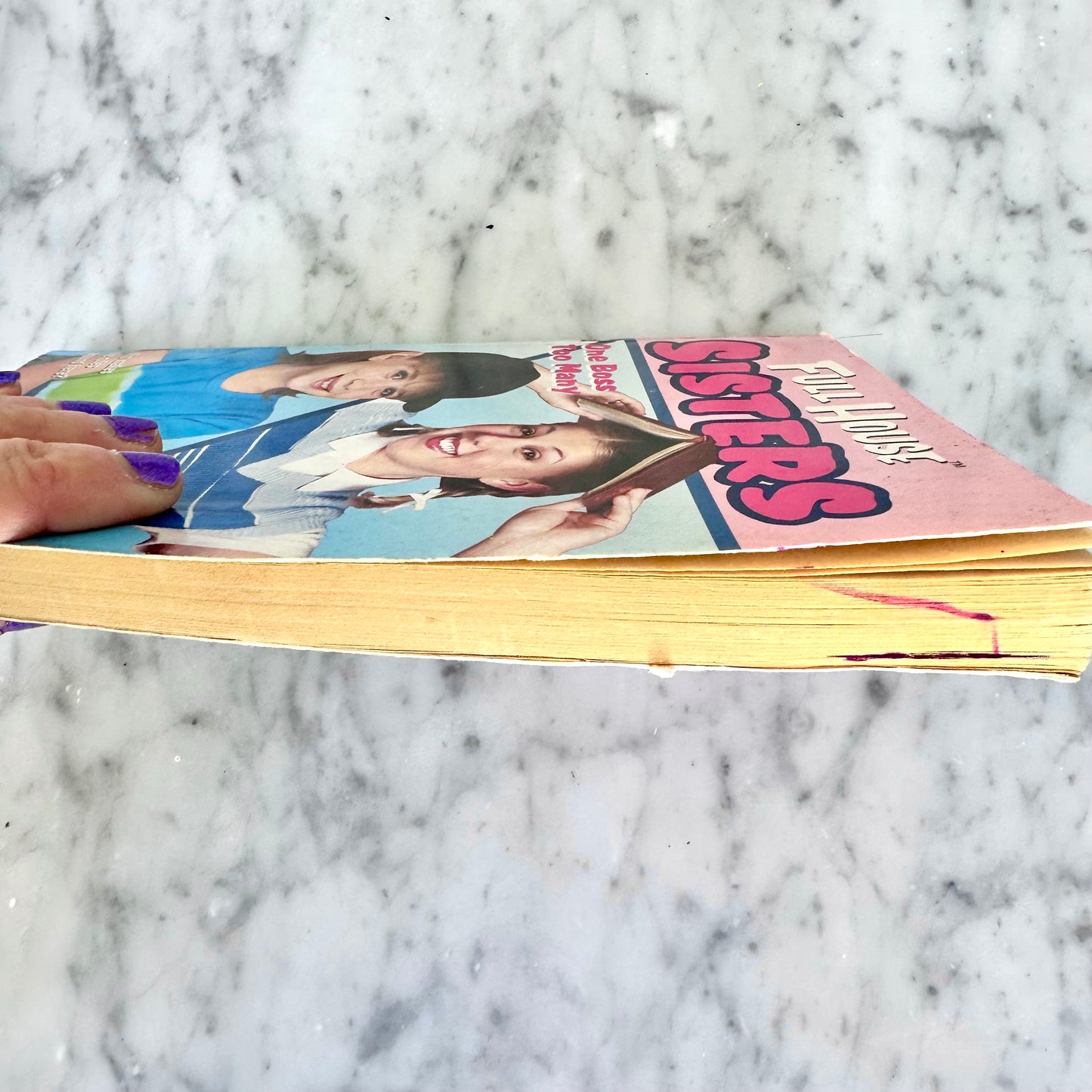 90’s Full House Sisters Books