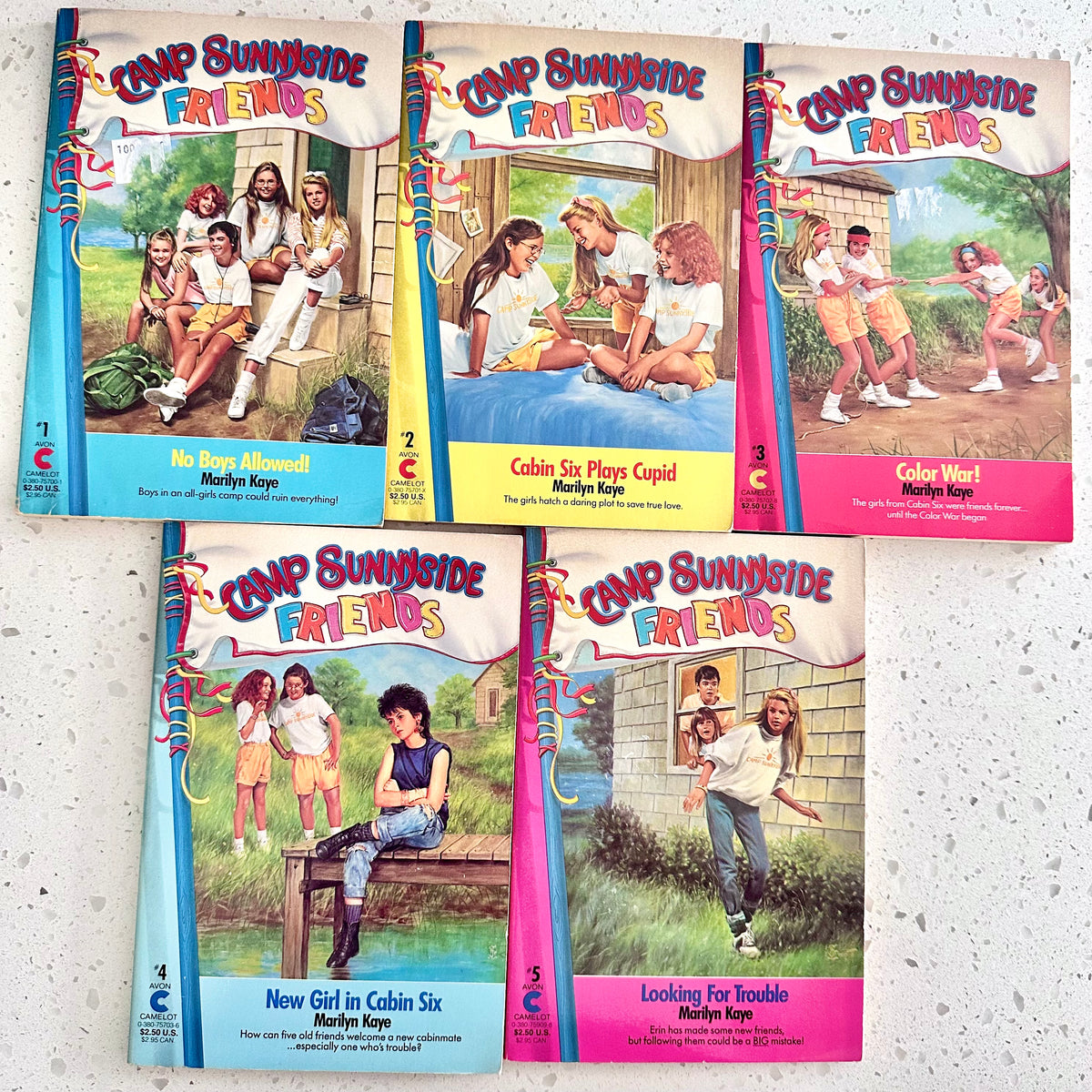 80’s Camp Sunnyside Friends Book Lot