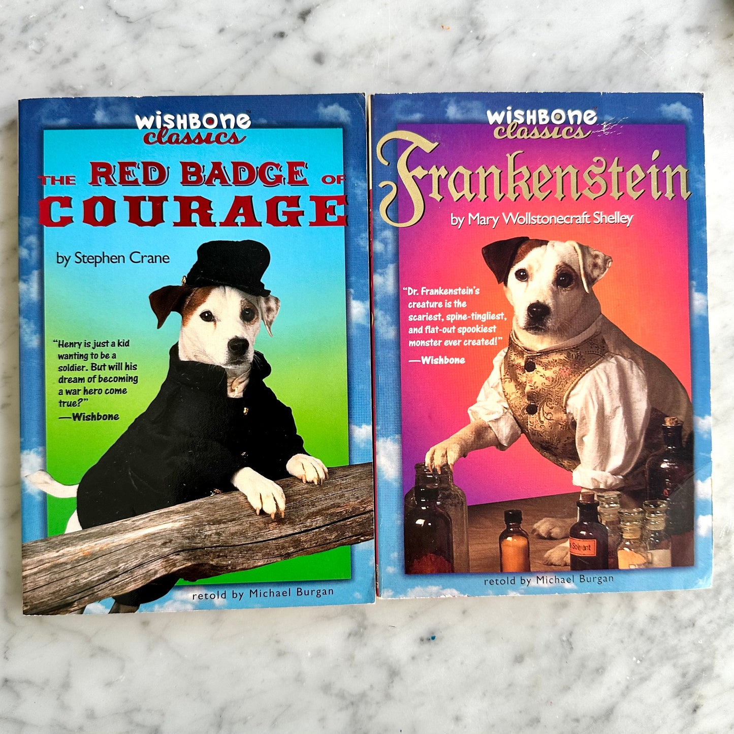 90’s Wishbone Classics Book Set