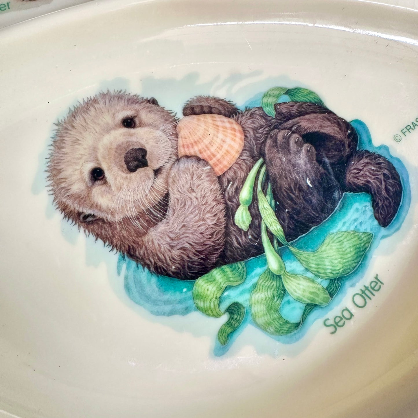 90’s Nature’s Endangered Melamine Plate and Bowl