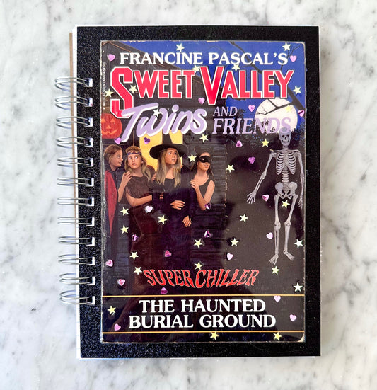 Vintage Sweet Valley Twins “The Haunted Burial Ground” Book Journal