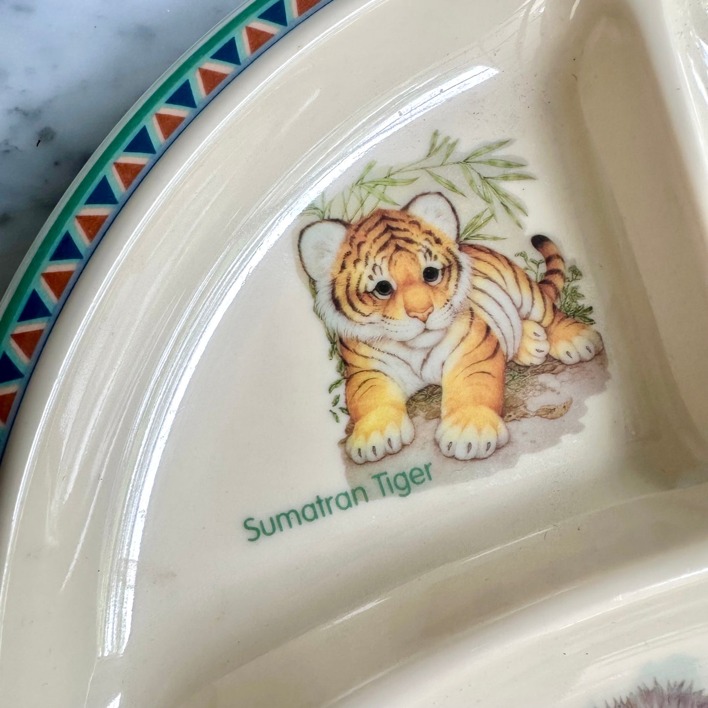 90’s Nature’s Endangered Melamine Plate and Bowl
