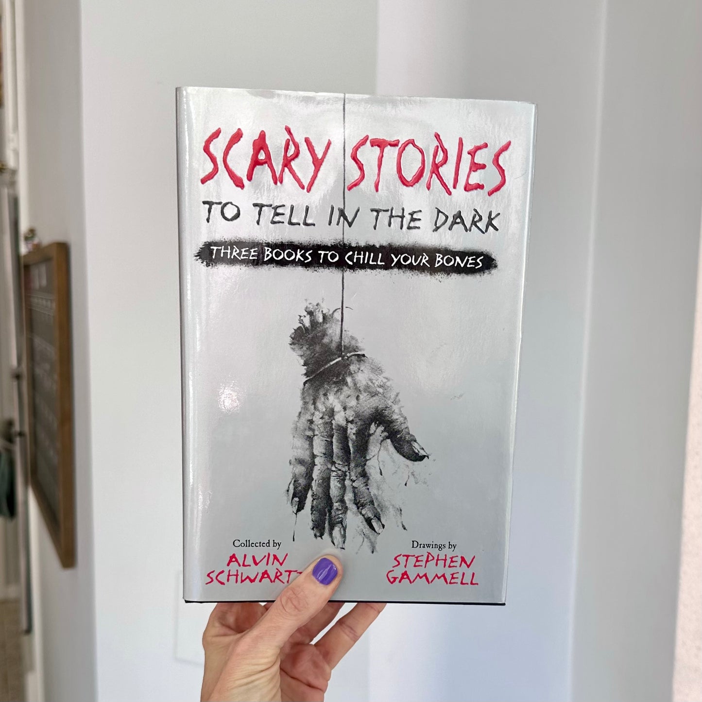 Scary Stories To Tell In The Dark “Three Books To Chill Your Bones” Hardback Book