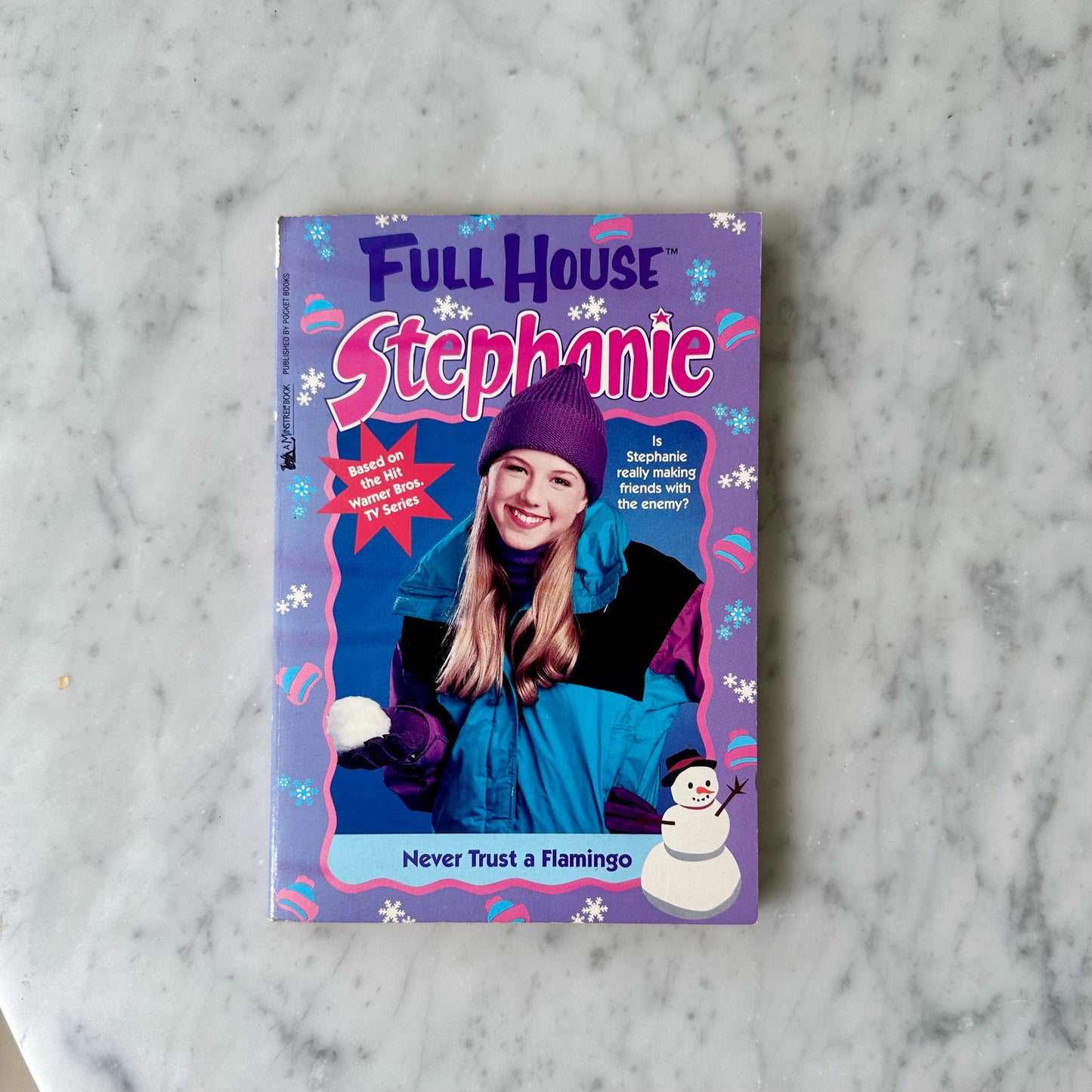 90’s Full House Stephanie Chapter Books