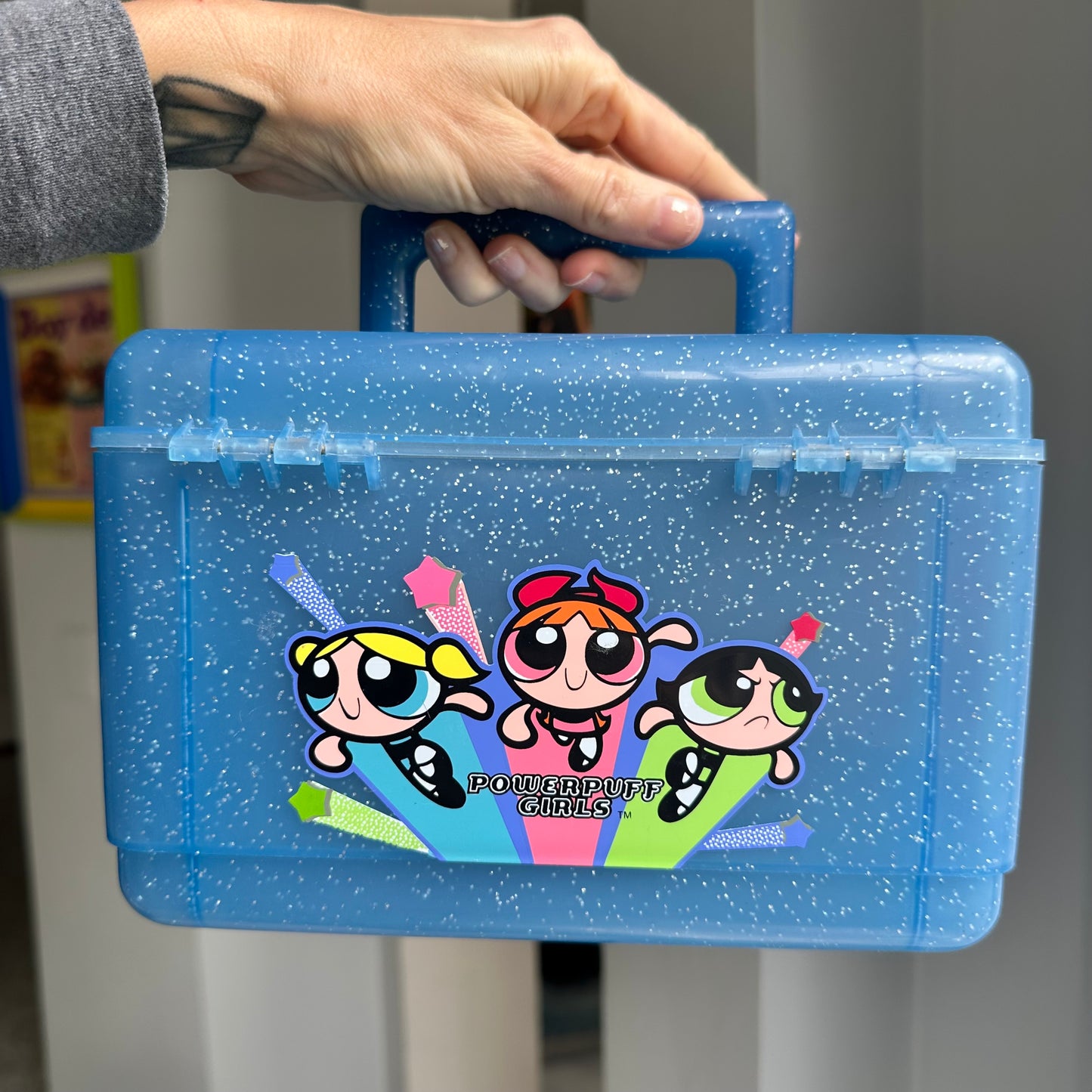 1998 Powerpuff Girls Case