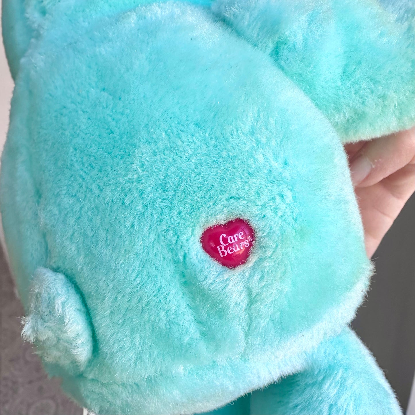 2002 Care Bears Hug & Kiss Wish Bear