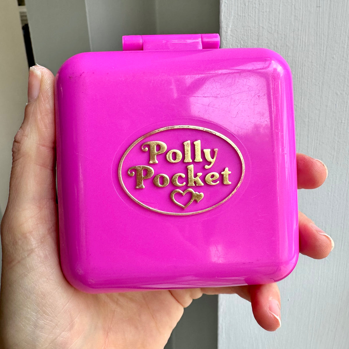 1989 Polly Pocket Wild Zoo World