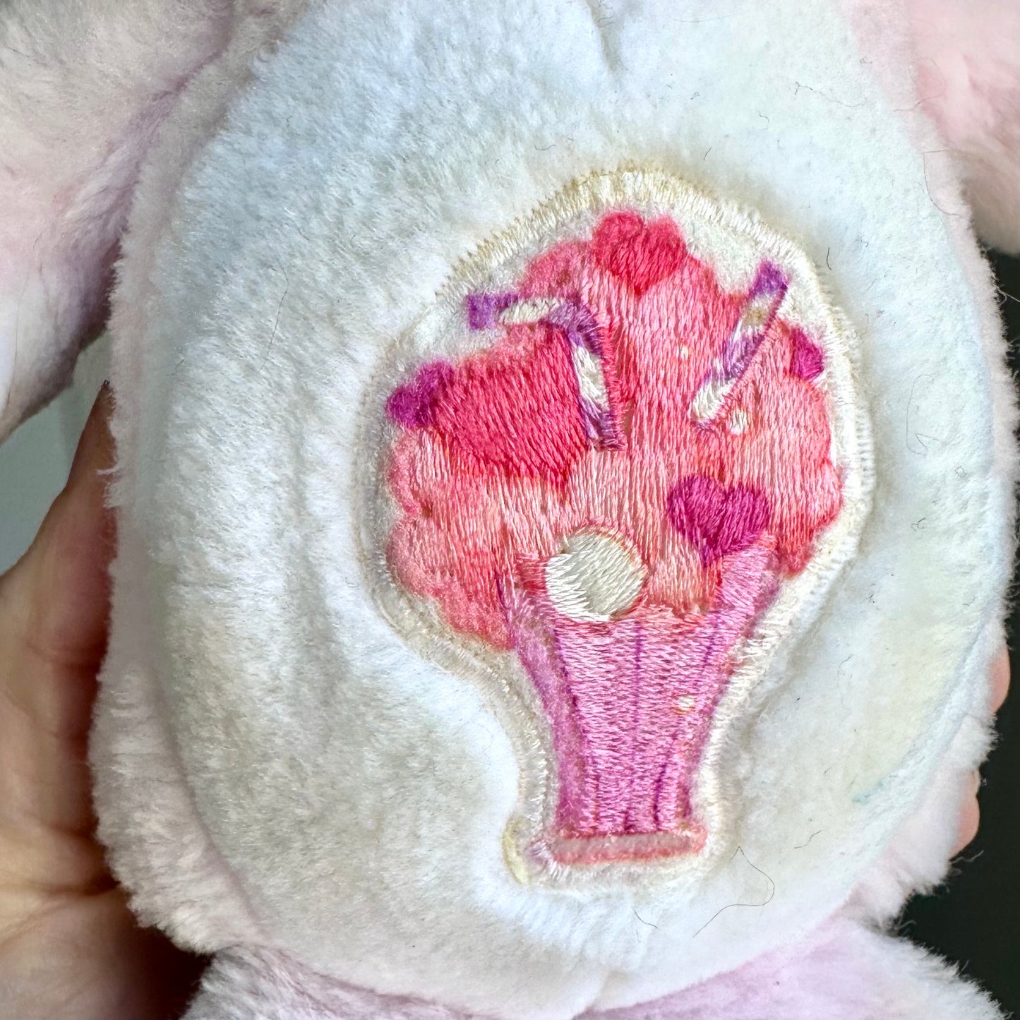 1986 Care Bears Cubs “Share Cub”