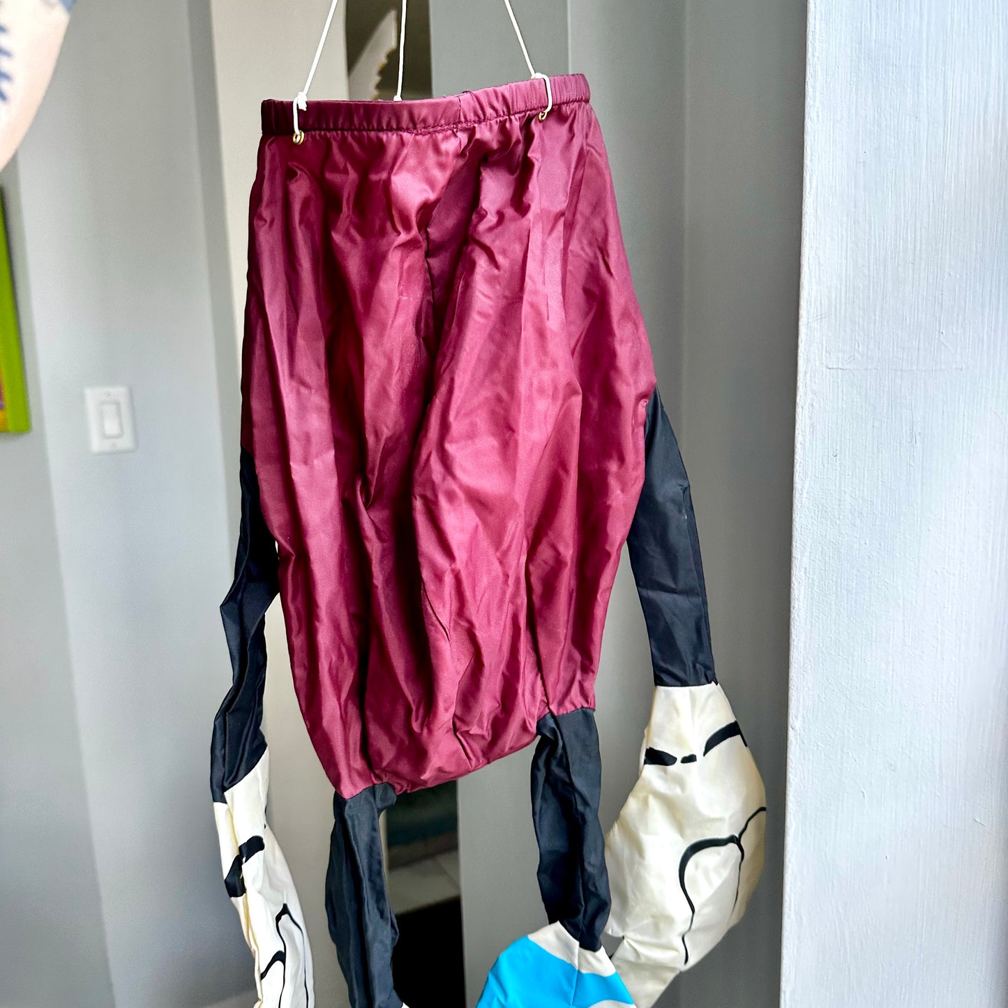 1989 California Raisins Windsock