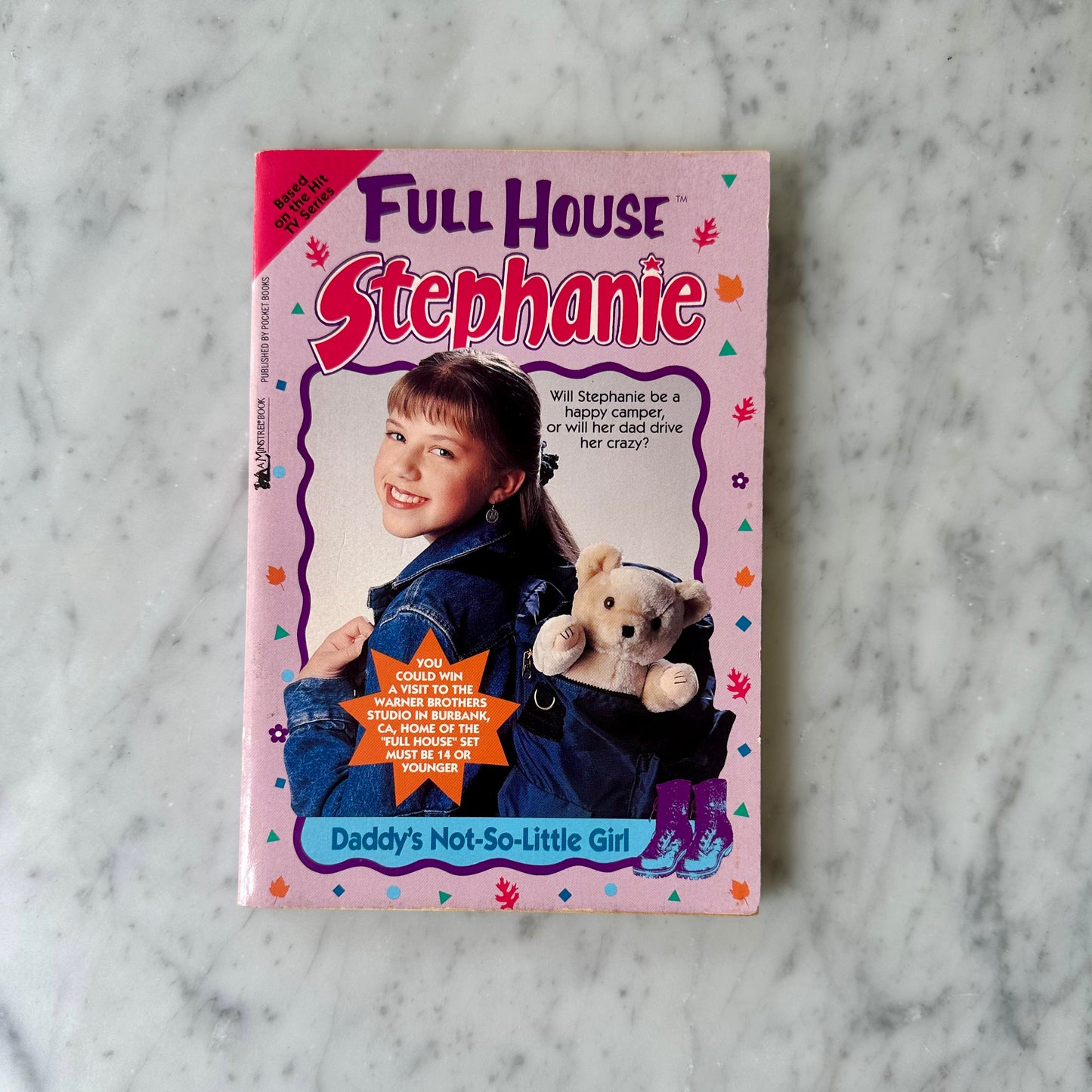 90’s Full House Stephanie Chapter Books