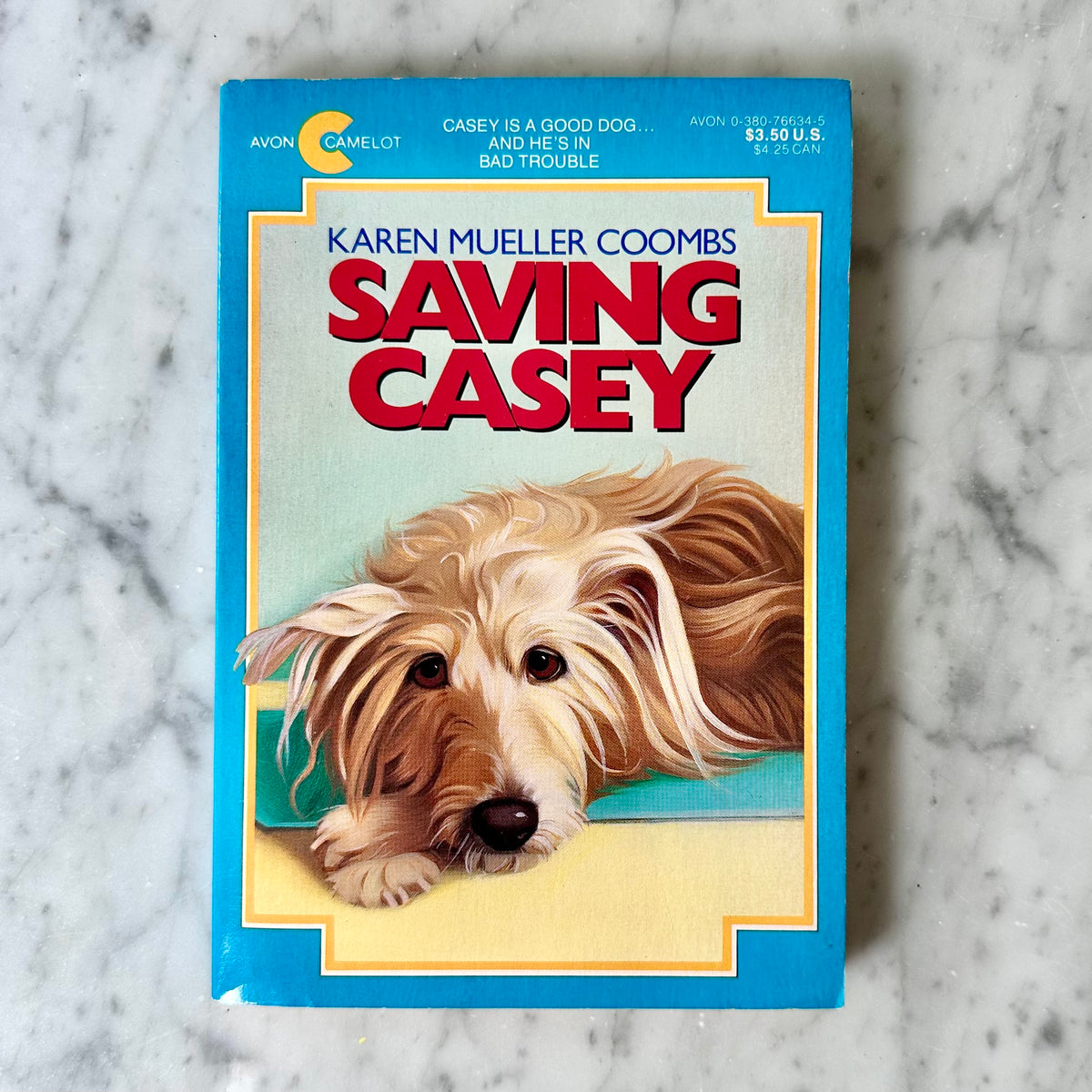 1992 Saving Casey Book