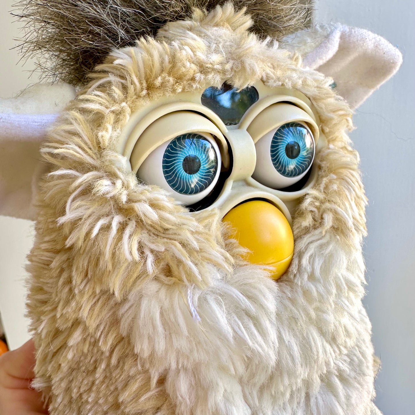1999 Working Teddy Bear Furby