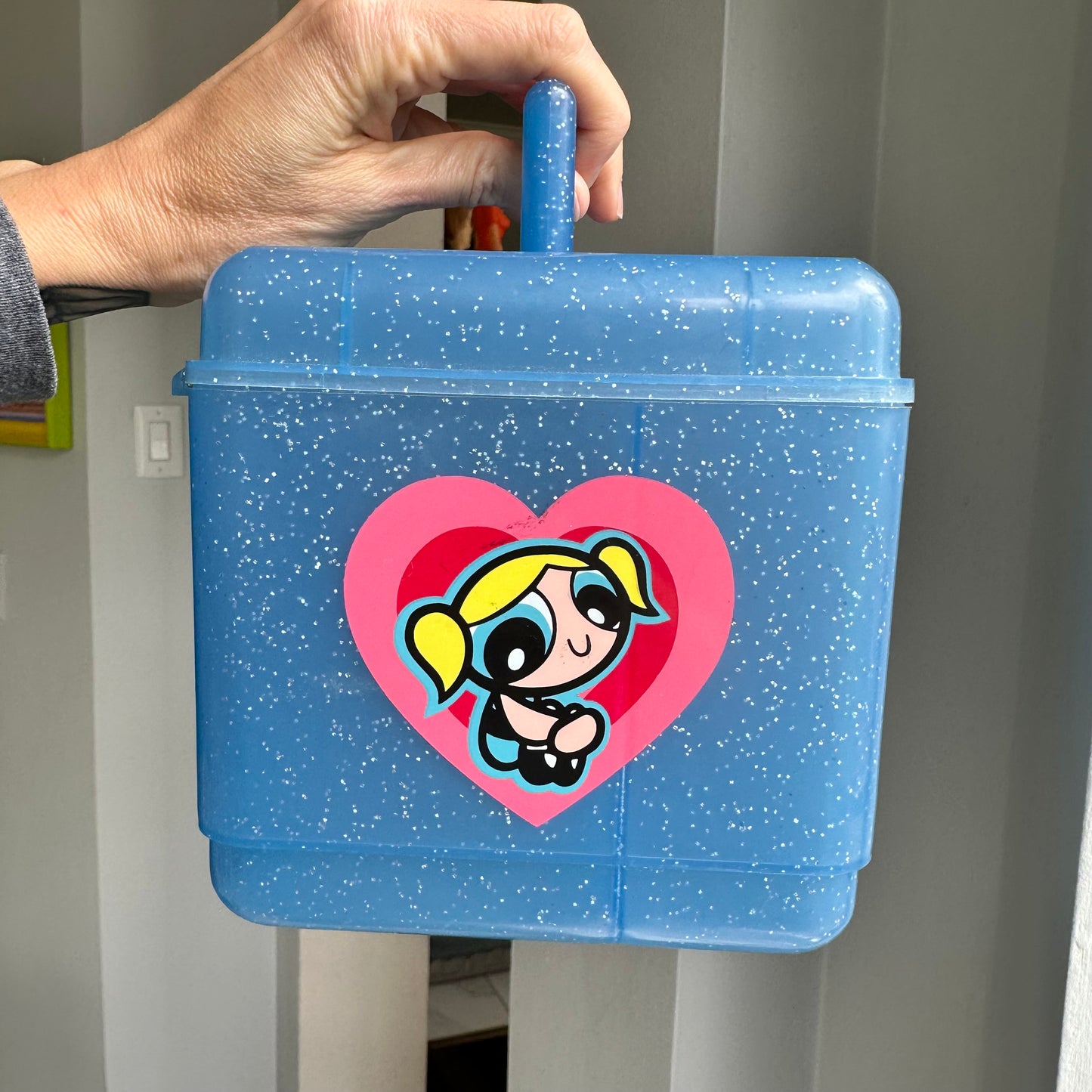 1998 Powerpuff Girls Case
