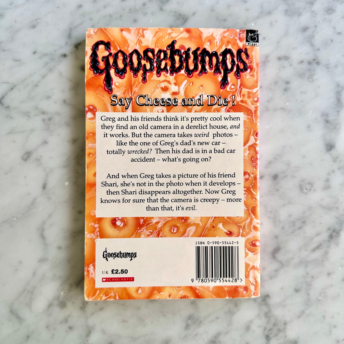 90’s Goosebumps “Say Cheese & Die” UK Edition