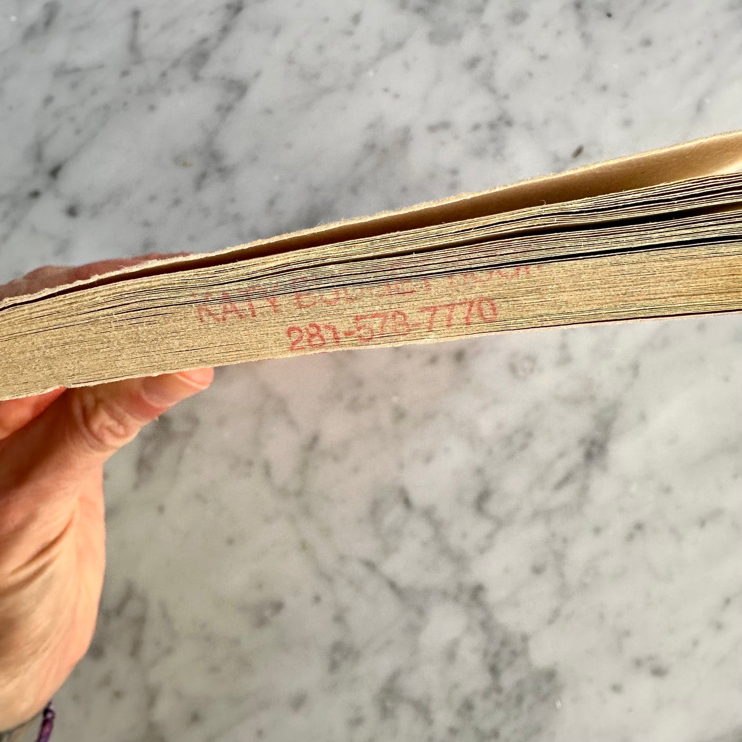 90’s Goosebumps “Say Cheese & Die” UK Edition